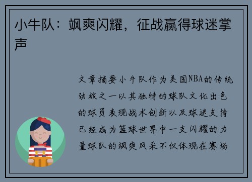 小牛队：飒爽闪耀，征战赢得球迷掌声